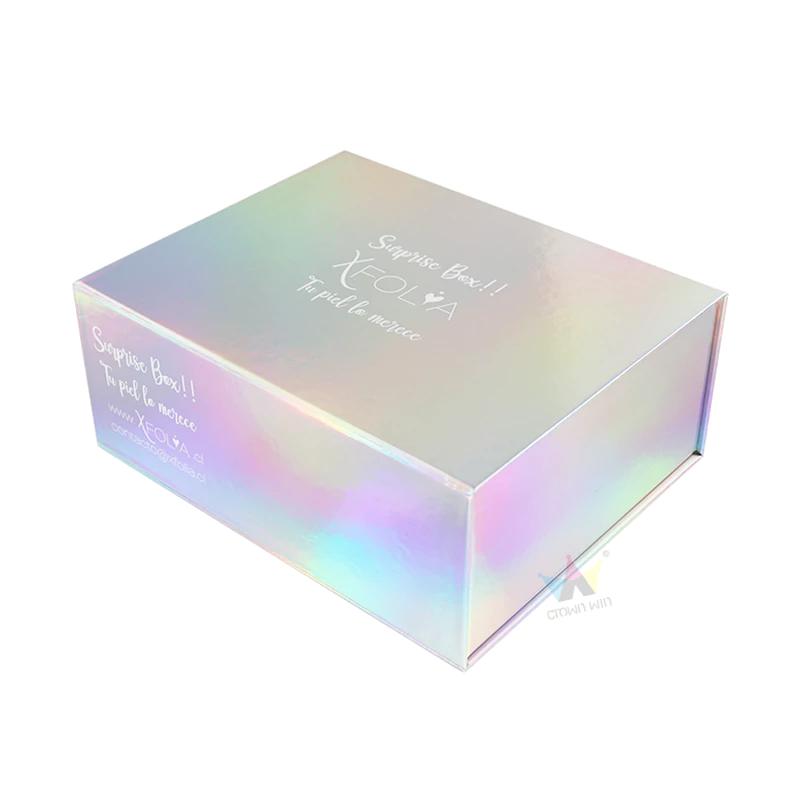 Holographic magnetic box4